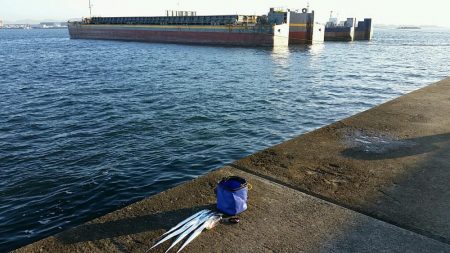 ムコイチ朝マズメ、ボチボチでした。